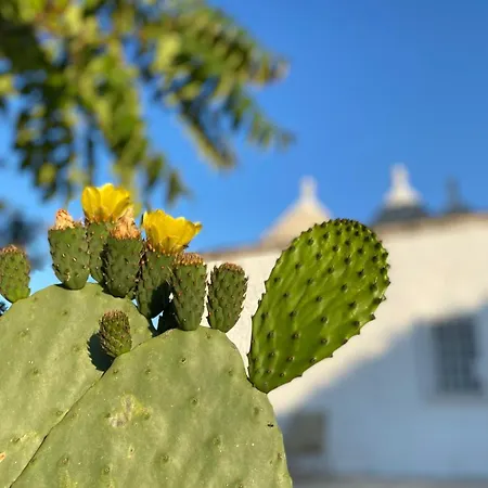 Villa Trulli Della Chiesetta *