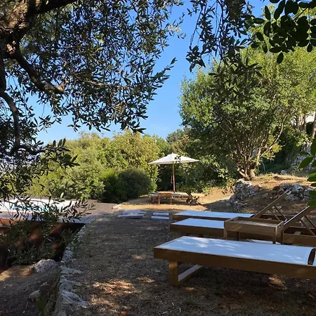 Trulli Della Chiesetta Selva Di Fasano